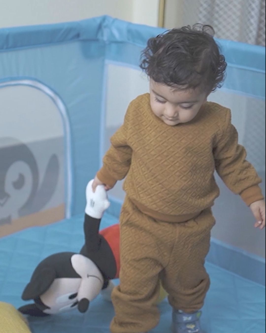 Playpen for Indoor & Outdoor Use for Babies