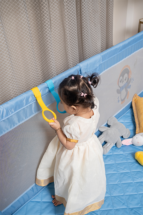 Nursery and Furniture